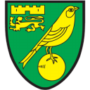 Norwich City icon